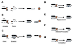 タンパク質編集